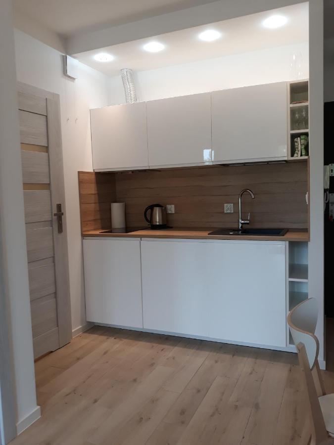 Apartament Szary Wilk Сверадув-Здруй Экстерьер фото